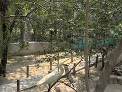 -济南野生动物世界