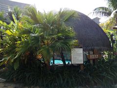 -亚马逊丛林水乐园