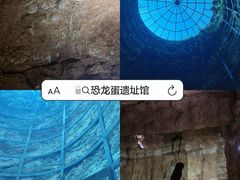 -中国西峡恐龙遗迹园