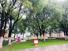 -昆山城市生态森林公园