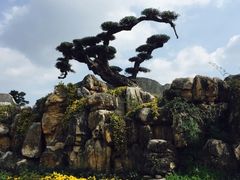 -南通洲际绿博园