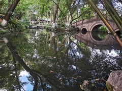 -桂湖森林公园