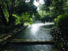 -成都市活水公园