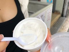 -洪馨椰子