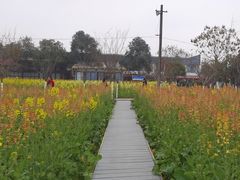 -洪湖家庭农场·团建·露营·会议