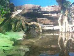 -沙沙哗啦海洋馆(华宇百花谷店)