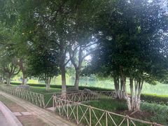 -合肥生态公园