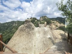 -大岭沟猕猴桃谷风景区