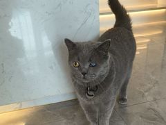 -贝康宠物医院·犬猫全科·小动物特色诊疗中心(东环路店)