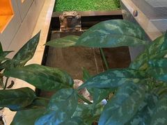 -七彩云南庆沣祥茶庄(金融街店)