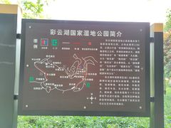 -重庆彩云湖湿地公园