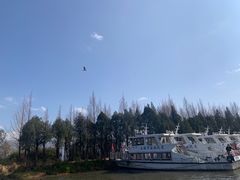 -大理洱海