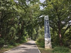 -青龙山国家森林公园