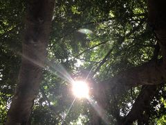 -北部湾广场