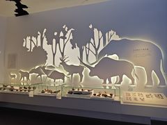 -中国闽台缘博物馆