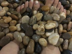 -极乐汇汗蒸会馆(杭州店)