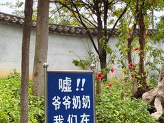 -柳侯公园