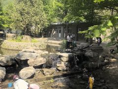 -白水寺森林公园
