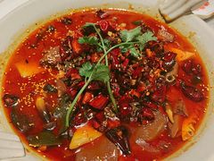 金牌毛血旺-辛香汇·现炒川菜(淮海路百盛店)
