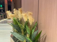 -东方棕泉·洗浴·按摩·美食国际水疗会所(福田店)