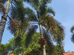 -佛山市三水温泉度假村