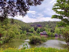 -黑龙潭公园
