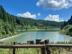 -武陵山森林公园