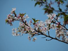 -堤角公园