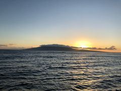 -阿甘虾餐厅(Maui)