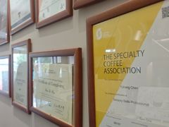 -Punchline Coffee&Roaster(同济大学店)