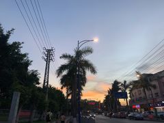 -东莞植物园