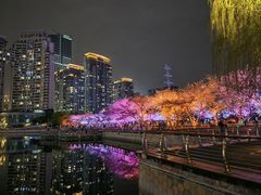 -西北湖绿化广场