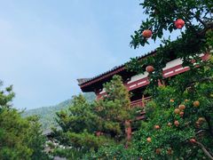 -西安华清御汤酒店