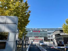 -首都医科大学附属北京地坛医院