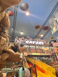 -卡通尼·Safari非洲探索乐园·生日会(金桥国际商业广场店)
