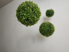 -状元炸鸡(锦城学院店)