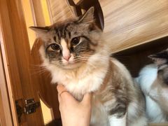 -白兔子密室(长寿路店)