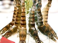 -德米火锅(深圳湾1号旗舰店)