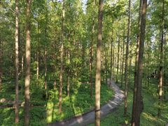 -黄海国家森林公园