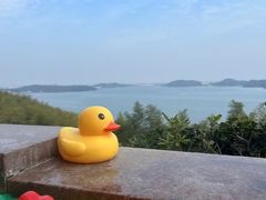 -天目湖涵田半山温泉