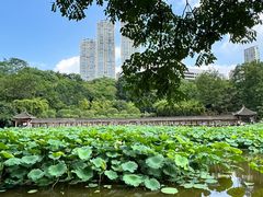 -龙头寺公园