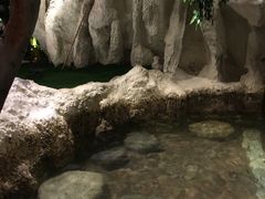 -中铁花水湾四季温泉谷