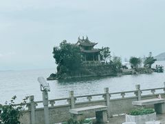-小普陀
