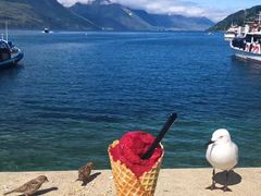 -Patagonia Chocolates(皇后镇店)