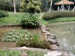 -火炉山森林公园