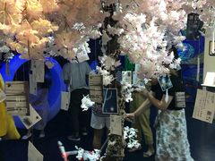 -上海外滩星空失恋减压馆(外滩旗舰馆)