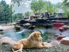 -北京野生动物园