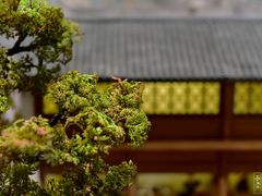 -南京民俗博物馆(甘熙故居)