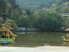 -西双版纳原始森林公园
