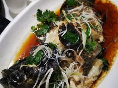 -前王院•巧克力海鲜市集餐厅(万平口店)